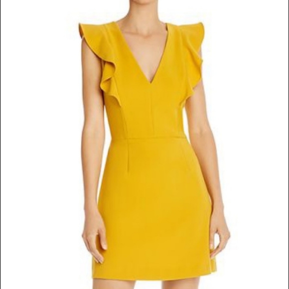 French Connection Dresses & Skirts - French Connection Whisper Ruffle V-Neck Dress